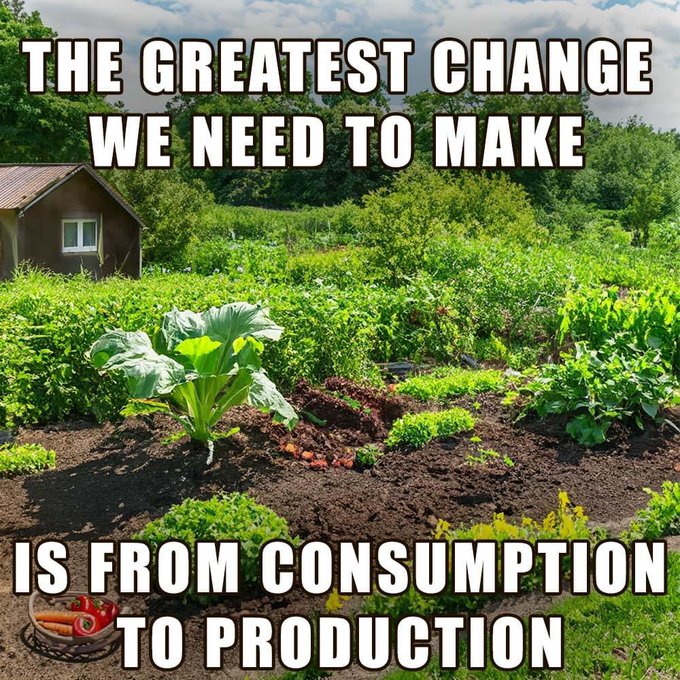 This meme is a humorous commentary on the importance of making changes to improve the world. The image shows a lush, green garden, but the text "The greatest change we need to make is from consumption to production" is overlaid, suggesting that the garden is actually a symbol of the need for people to transition from being consumers to being producers, creating their own food and resources. The text is a call to action, urging people to make this change in order to improve the world.